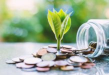 European Commission to Organise Conference on Sustainable Finance Plant-growing-from-coins