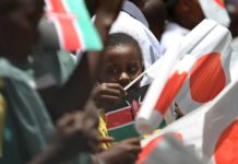 Japan reinvongerates Africa Investment Push