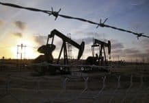 Oil Price Forecasts Following OPEC+ Decision to Delay Production Increase