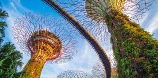 Singapore unveils plan to target net-zero emissions by 2050