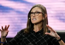 Cathie Wood’s flagship Ark fund tops $300mn despite big losses