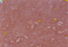 MÍRAME Fine Art Spotlights 5 Costa Rican Artists Reflecting the Country’s Biodiversity