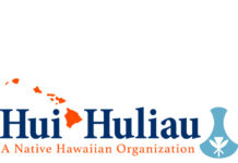 David McComas Selected as Hui Huliau Chief Operating Officer
