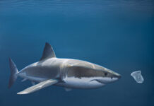 MÍRAME Fine Art Explores Socio-Political Themes in Costa Rican Art