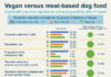 How Much Do Vegan Diets Improve the Health of Dogs?