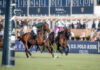 U.S. Polo Assn. Concludes the Successful European Polo Season