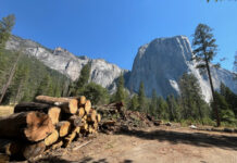 Yosemite Fuels Makes Debut in California With Innovative Carbon-Negative Hydrogen Fuel, Advancing Decarbonization and Renewable Energy Solutions