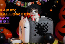 Say Goodbye to Cat Hair Hassles: PawSwing’s AutoComb Makes Grooming Effortless