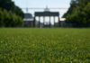 The City of Berlin Repurposes SYNLawn(R) Artificial Turf Showcased in the Euro 2024 Fan Zone