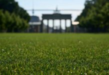 The City of Berlin Repurposes SYNLawn(R) Artificial Turf Showcased in the Euro 2024 Fan Zone