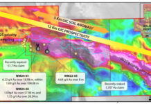 Omega Increases the GIC Copper-Gold Target to 12 Km Through Strategic Acquisition and Additional Staking