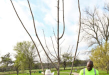 Empire Holdings Strengthens Community Ties With Environmental Initiative