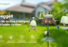 Sheggell Announces the Launch of Revolutionary Intelligent Bird Feeder System