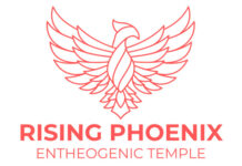 Rising Phoenix Mushroom Church Opens in San Francisco