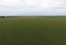 West Central Auction Company Achieves Impressive Results for Land Sellers