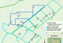 North Shore Uranium Granted Falcon Exploration Permit