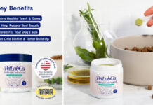 Best Dog Dental Powder: PetLab Co.’s ProBright Advanced Ranked Top for Dog Dental Care by Expert Consumers