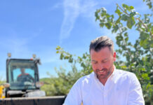 Spain Has the Conditions to Lead the Pistachio Business in Europe