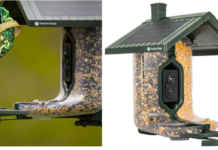 FeatherSnap Scout Smart Bird Feeder Top Holiday Gift and Selected as One of Oprah’s Favorite Things 2024