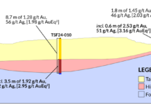 TDG Gold Reports Gold-Silver Results From Historical Tailings At Baker, Toodoggone, BC