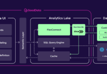GoodData Launches FlexConnect: Connect to Any Data Source & Transform Data at Run-Time