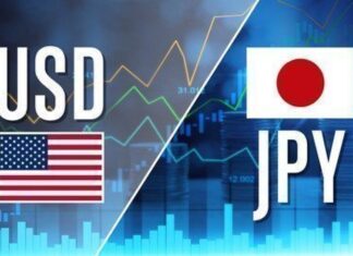 USD/JPY stabilizes amid lack of bearish momentum and expectations of a rate hike by the Bank of Japan