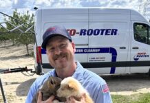 Roto-Rooter Technician Springs Into Action to Save Three Trapped Puppies Under a Home in Fresno, CA