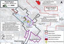 Honey Badger’s Work Outlines New High-Grade and “Rogue-Like” Targets at the Plata Project