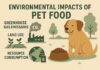 Pet Diets Are Quietly Contributing to Climate Change – but There’s a Simple Fix