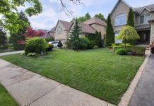 MPR Landscapes Wins Consumer Choice Award for Landscape Design in Peel Region