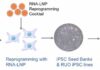 uBriGene Launches Clinical iPSC Banks to Accelerate Regenerative Medicine and Cell Therapy Development