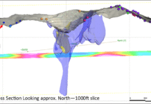New Geological Data Confirms Potential for Expanded Gold and REE Deposits at Colosseum Project