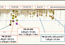 Northern Superior Expands New Discovery With 21.6 Metres of 4.82 g/t Au Including 7.0 Metres of 11.86 g/t Au, and 22.2 Metres of 2.09 g/t Au Including 10.0 Metres of 3.54 g/t Au at Philibert(1)