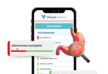 Vibrant Wellness Launches Redesigned Gut Microbiome Test With Broader Microbial and Metabolic Insights