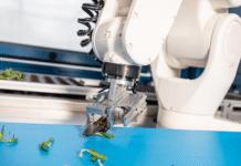 AI-Powered Agriculture: Plantd’s Next Leap Toward Climate Impact at Scale