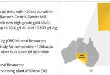 Wudinna Gold Project Acquisition – Update