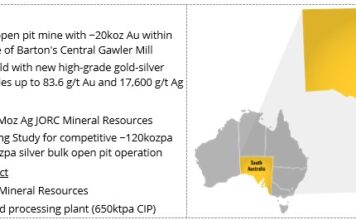 Wudinna Gold Project Acquisition – Update