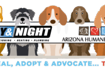 Day & Night Continues Longstanding Donation Partnership With Arizona Humane Society