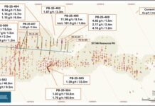 Northern Superior Reports 11.99 g/t Au Over 9.1 Metres Including 101 g/t Au Over 1.0 Metre, and 1.75 g/t Au Over 65.0 Metres Including 3.92 g/t Au Over 17.4 Metres at Philibert