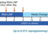 uBriGene Unveils V2.0 RNA-LNP iPSC Reprogramming Kit Optimized for PBMCs and Hard-to-Reprogram Cells