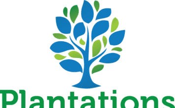 Plantations International Makes History With World’s First Organic Black Thorn Durian Saplings