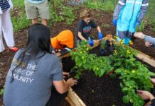 Dematic and the Captain Planet Foundation Install Project Learning Gardens(TM) to Inspire Students in Michigan and Texas