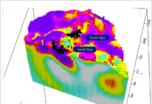 Independent 3D Geophysical Review Ranks Drill Targets at Colosseum