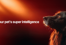 Pluto Pets Launches the First AI-Powered Pet Longevity Platform: Your Dog’s 24/7 Health Co-Pilot