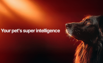 Pluto Pets Launches the First AI-Powered Pet Longevity Platform: Your Dog’s 24/7 Health Co-Pilot