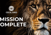 Cecil DAO Fulfills Its Mission and Distributes Funds to All Partner Charities