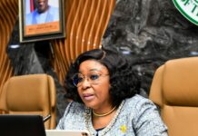 Swedish Startup MuchSkills Powers Phillips Consulting-Led Workforce Skills Assessment in Nigeria’s Federal Civil Service