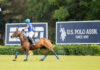 The 2026 Polo Season Launches at the USPA National Polo Center, Sponsored by U.S. Polo Assn.