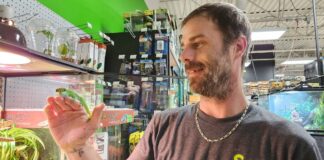 Southwest Pet Earns 2026 Consumer Choice Award Recognition as a Trusted Destination for Pet Care in London