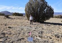 North Shore Continues To Advance Rio Puerco Towards Drilling